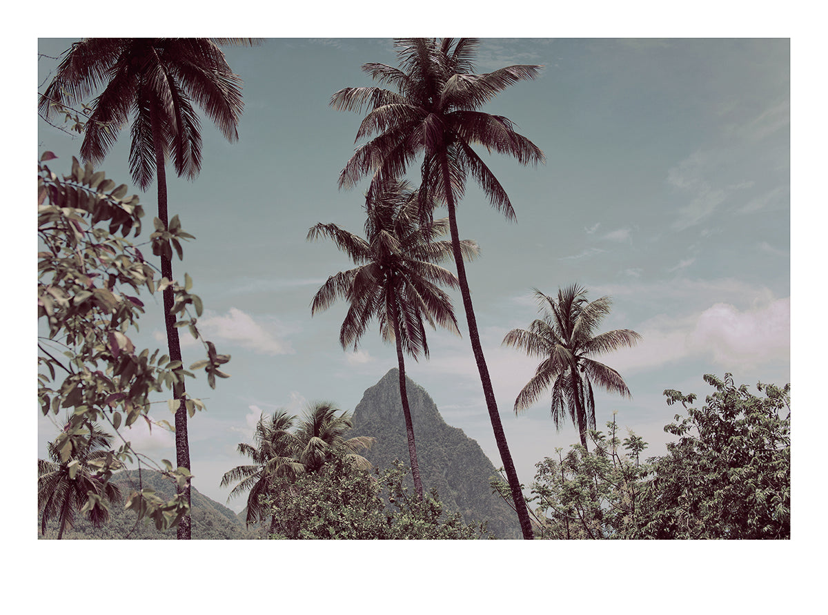 St Lucia 2, 30x20cm (33x24,5cm)