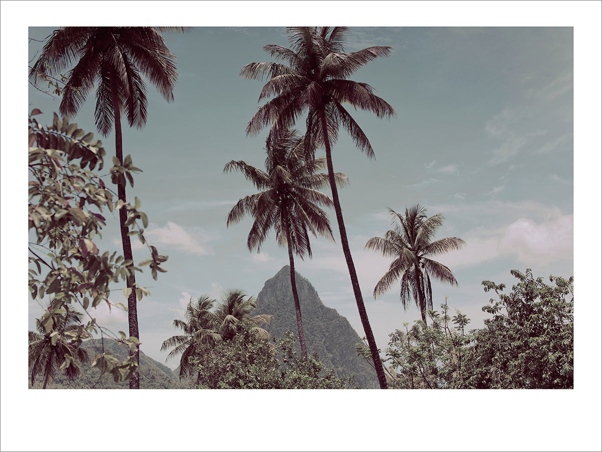 St Lucia 2, 45x30cm (49,6x37,3cm)