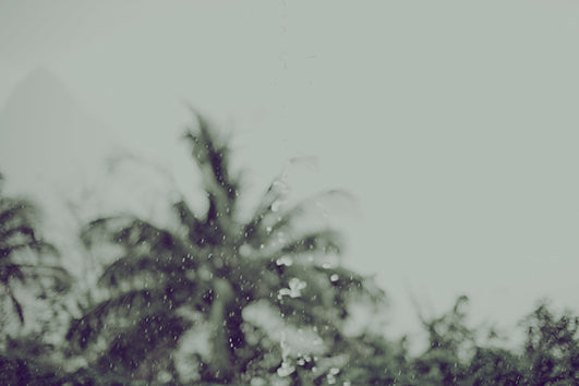 St Lucia 1, 45x30cm (49,6x37,3cm)