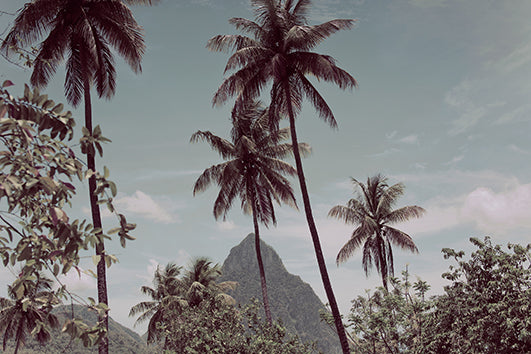 St Lucia 2, 45x30cm (49,6x37,3cm)