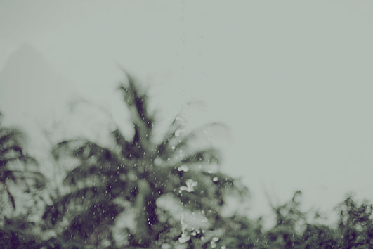 St Lucia 1, 30x20cm (33x24,5cm)